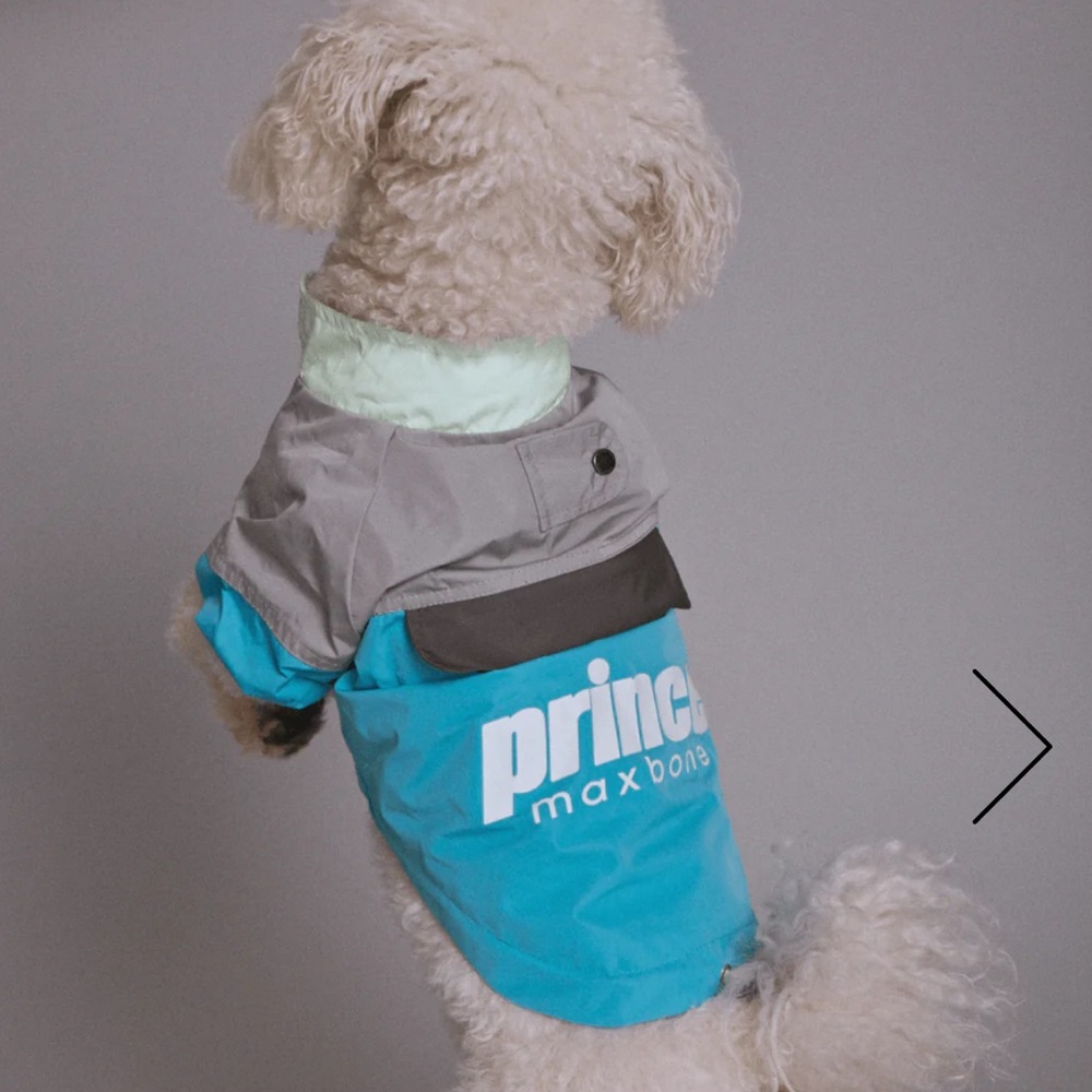 NEW - dog windbreaker from maxbone